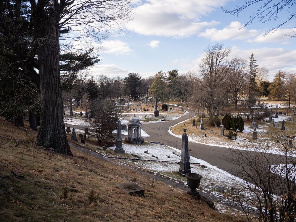 From the Almond Path